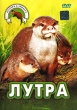 Лутра Букинистическое издание Сохранность: Хорошая Издательство: Корвина, 1981 г Твердый переплет, 256 стр инфо 11948u.