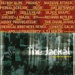 The Jackal Music From And Inspired By "The Jackal" (Original Soundtrack) работавшего с Бьорк, под инфо 10898y.